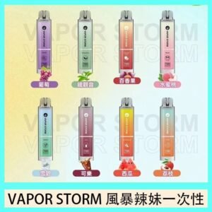 VAPOR STORM風暴辣妹一次性主機充電7500口(5%)