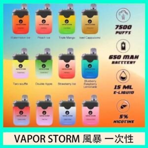 Vapor Storm風暴電子煙7500口(5%)一次性